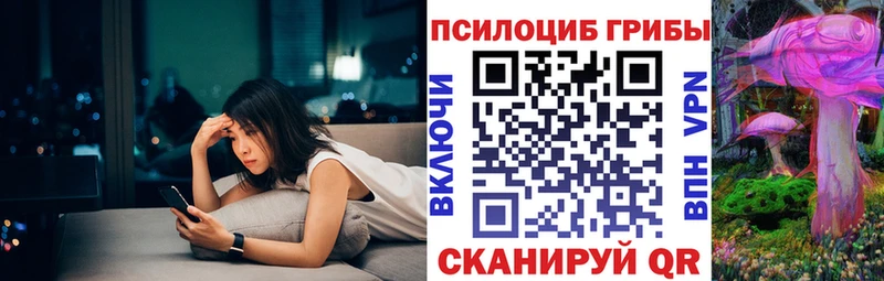 Купить где Баймак Псилоцибиновые грибы Psilocybe